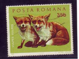 Roumanie YV 2675;  O 1972 Renard - Animalez De Caza