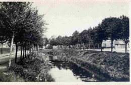 Dépt 59 - MERVILLE - Les Bords De La Bourre - CPSM - Merville