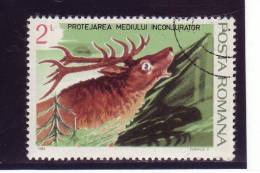 Roumanie YV 3498 O 1984 Cerf - Animalez De Caza