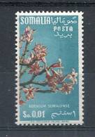 1956 SOMALIA AFIS FIORI 1  CENT STELLE MNH ** - RR9539 - Somalie (AFIS)