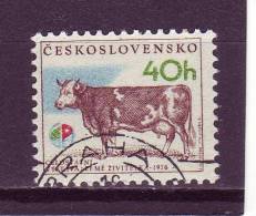 Tchécoslovaquie YV 2173 O 1976 Vache - Vaches