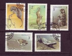 Russie YV 5240/2 O 1985 Rongeurs; 5403/4 O 1987 Petits Mammifères - Rongeurs