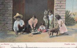 Mexique - Mexico - Famille Indienne - Ane Coq Cochon - Oblitération 1908 - México