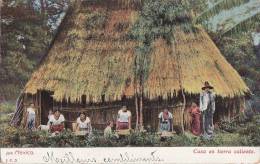 Mexique - Mexico - Habitation Indienne -  Casa En Tierra Caliente - Oblitération 1908 - México