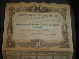 Obligation " Cie Nationale Des Canaux Agricoles " Paris 1878 Excellent état Reste Des Coupons. - Agricultura