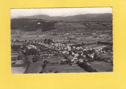 CPSM - DOUVAINE - Vue Générale Aérienne - Douvaine