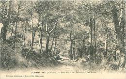 72 - MONTMIRAIL - Sous-Bois - Le Chemin De L'Eau Verte (Ed. Artistiques J. Brun Et Cie, Carpentras) - Montmirail