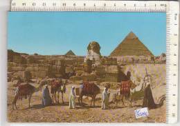 PO8784B# EGITTO - EGYPT - GIZA - SFINGE E PIRAMIDE DI CHEOPE - CAMMELLIERI  VG 1983 - Gizeh