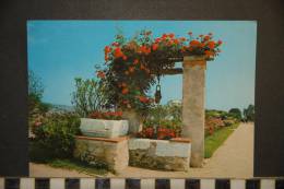 06 NICE   PUITS FLEURI DANS LES JARDINS DU MONASTERE DE CIMIEZ   EDITIONS GILETTA  31  ECRITE - Monuments