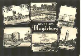 GER241 - Magdeburg - Gruss Aus - Maagdenburg