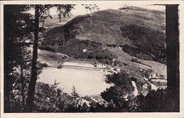 Tschechische Republik, Sommerfrische Klein-Bistritz -Letovisko Bystřička 1944, Gelaufen Ja - Böhmen Und Mähren