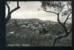 S4066 CARTOLINA ILLUSTRATA NAPOLI CAPRI ANACAPRI PANORAMA  FG. NV. - Pozzuoli