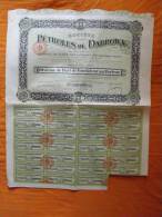 ACTION - SOCIETE DES PETROLES DE DABROWA - DIXIEME DE PART DE FONDATEUR AU PORTEUR - 19 JUILLET 1920 - Aardolie