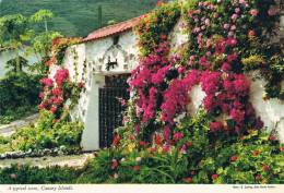 ISLAS CANARIAS, CANARY ISLANDS - A Typical Scene, The Entrance To A Country Residence / Portado De Una Residencia - 1979 - Andere & Zonder Classificatie