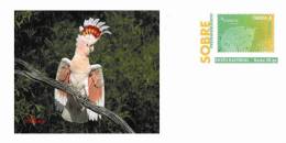 BIRDS Pre-paid Envelope 60 - Colecciones & Series