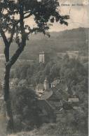 SUISSE - LES CLÉES - Château Des Clées - Les Clées