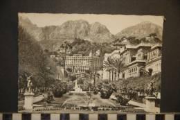 06   MENTON  LES JARDINS DU CASINO  EDITIONS PHOTOGUY  VOYAGEE 1964 - Menton