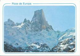 SPANIEN PICOS DE EUROPA 16 X 10 Cm Siehe Bild - Other & Unclassified