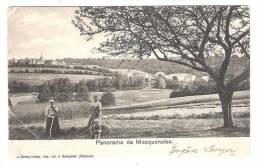 Panorama De Macquenoise - Momignies