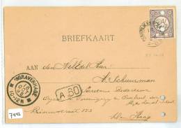 HANDGESCHREVEN BRIEFKAART Uit 1895 Van HALFWEG * HOUTRIJK En POLANEN Naar DEN HAAG * NVPH Nr. 33  (7442) - Lettres & Documents