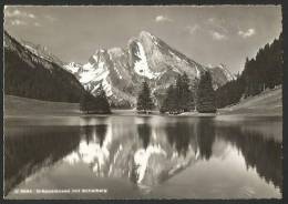 GRÄPPELENSEE Alpstein Toggenburg Schafberg Wildhaus 1958 - Wil