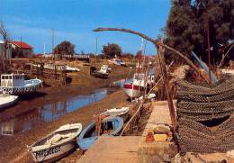 LA TREMBLADE Echappée Vers Le Canal à Marée Basse - La Tremblade