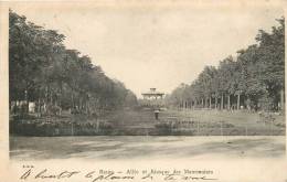 REIMS  ALLEE ET KIOSQUE DES MARRONNIERS - Reims