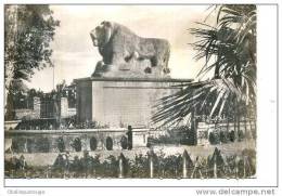 BASRAH LION BABYLON SQUARE N ° 8 ANNEES 50 - Irak
