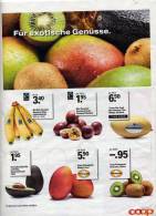 Page Coop Theme Fruit Exotique Mangue Kiwi Passion - Other & Unclassified