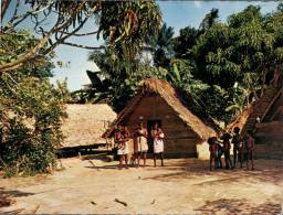 (285) South America - Suriname Village - Suriname