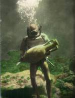 (485) Underwater Exploration - Decouverte D'une Amphore Bien Conserve - Scaphandrier - - Swimming