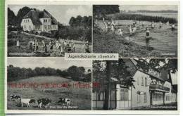 Jugendkolonie Seehof, Heilsarmee Plön Um 1950/1960, Verlag:  Johs Bauer, Bordesholm, POSTKARTE ,  Mit Frankatur, - Ploen