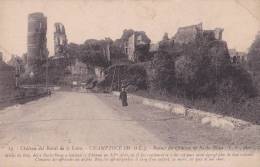 CPA CHAMPTOCEAUX 49 - Ruines Du Château De Barbe Bleue - Chalonnes Sur Loire