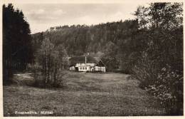 Froschmuhle Muhltal Old Postcard - Eisenberg