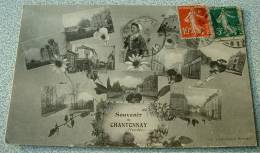 Souvenir De Chantonnay - Multivues - Chantonnay