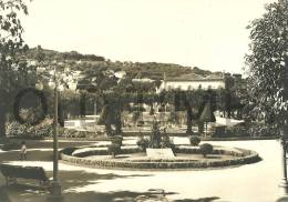 PORTUGAL - CASTELO BRANCO - PARQUE DA CIDADE - 50S REAL PHOTO PC. - Castelo Branco