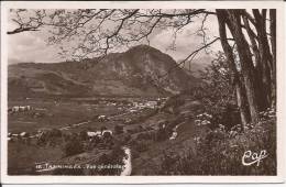 Cpsm, Tanninges (Hte-Savoie), Vue Générale - Taninges