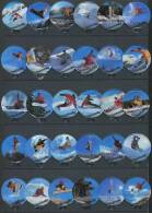 360 A - Snowboarding - Serie Complete De 30 Opercules Suisse - Coperchietti Di Panna Per Caffè