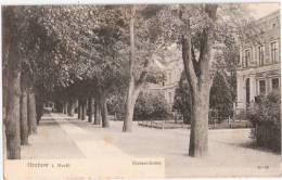 Grabow Mecklenburg Kiesserdamm Baum Allee 23.9.1906 Gelaufen - Ludwigslust