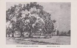 South Carolina White Hall Myrtle Grove Plantation - Altri & Non Classificati