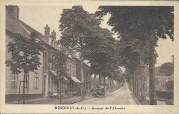 NORD PAS DE CALAIS - 62 - PAS DE CALAIS - HESDIN - Avenue De L'Alouette - Hesdin