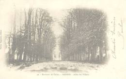 62.    ARDRES.  ENVIRONS DE CALAIS.  ALLEE DES TILLEULS.  1904.  DOS NON DIVISE. - Ardres