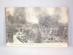 Linkebeek. Horticulture Et Pépinières De Linkebeek. Jardins De L'île De Robinson. Plantes Vivaces Et Rosiers. - Linkebeek