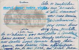 Cpp Afrique ALGERIE GUELMA Allée U Jardin D'essai Musée Signé C DOUEL Adr Mme JOURDAIN 15 Rue Daumier 75 PARIS 16 - Guelma