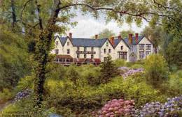 CPA WALES LLANDRINDOD WELLS ROCK PARK HOTEL - Radnorshire