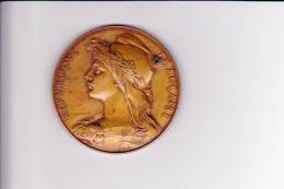 Medaille  FÊTES DU CONCOURS REGIONAL DE 1890 Ville Du Mans - Autres & Non Classés