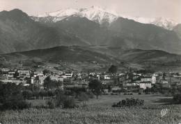 PRADES - Vue Générale Et Le Canigou - Prades