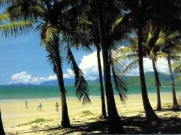 (105) Australia - QLD - Port Douglas - Outback