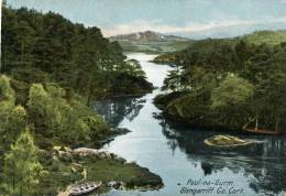 (909) Very Old Postcard - Carte Ancienne - Ireland - Co-Cork - Cork