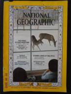 National Geographic Magazine November 1963 - Sciences